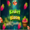 basket bloom